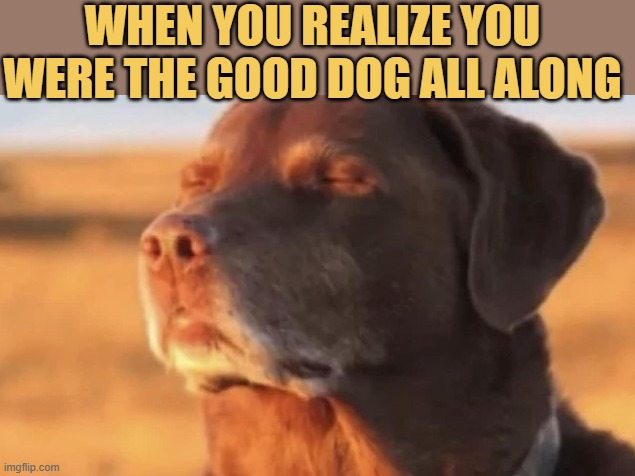 Good dog