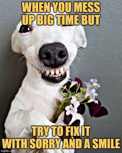 When you mess up big time but.jfif meme