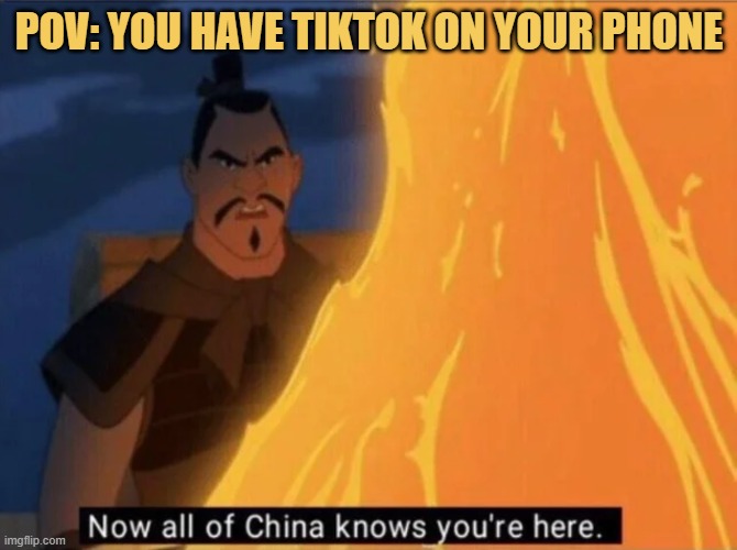 meme POV: You have TikTok on your phone