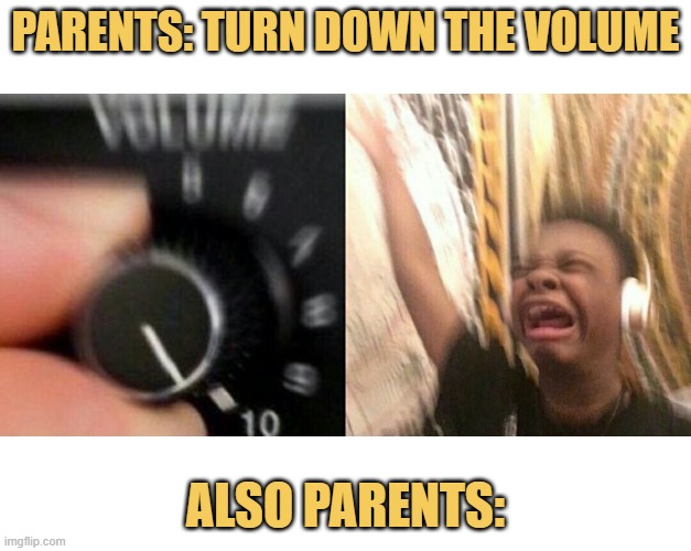meme PARENTS: TURN DOWN THE VOLUME