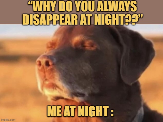 trying hard to sleep
