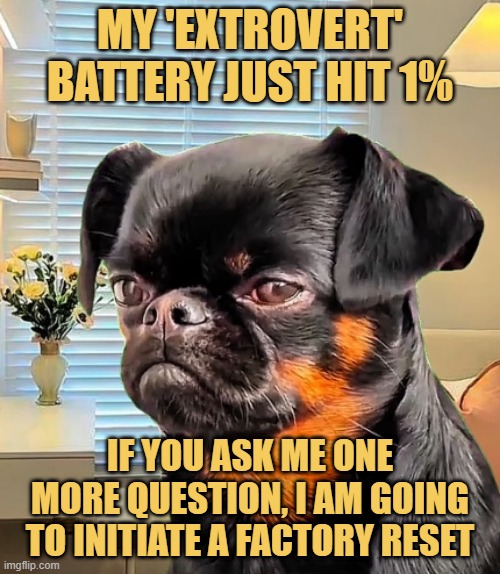 The social battery meme