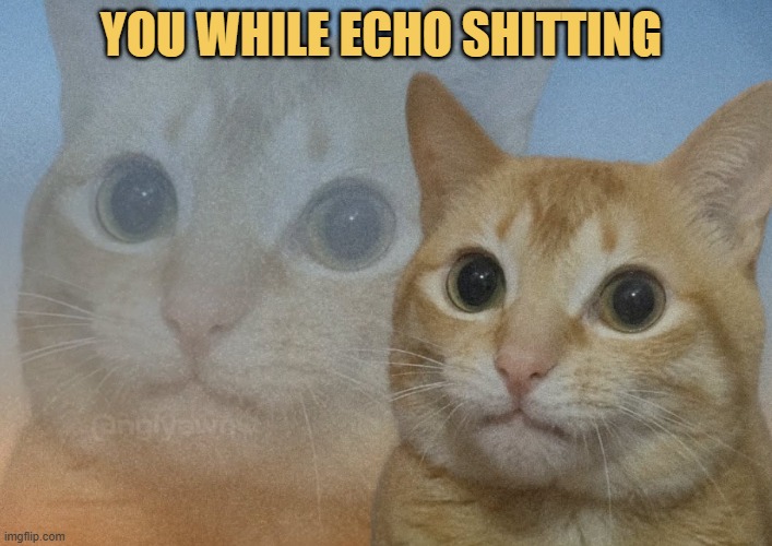 thoughts with shit
