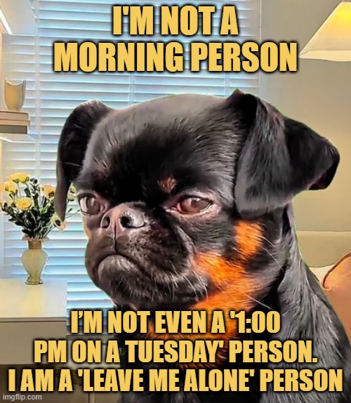 The morning person