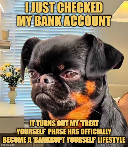 The financial crisis meme