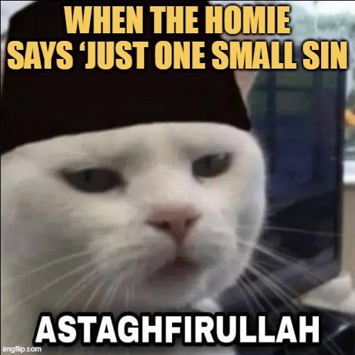 i cannot do this meme