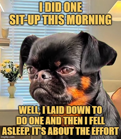 The fitness enthusiast meme