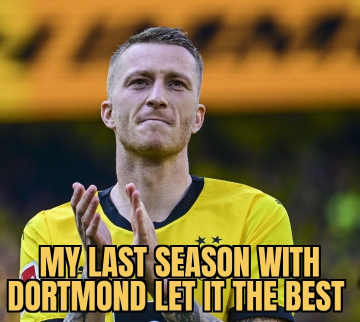 meme  Marco Reus could contribute at UCL for Broussia Dortmound 