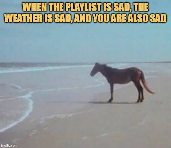 Everywhere is sad and sad
