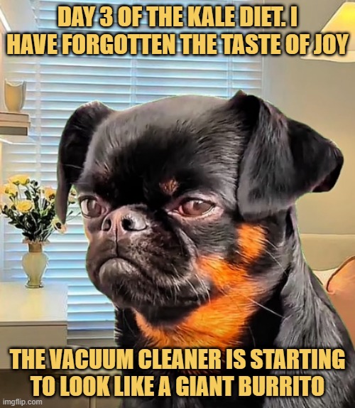 The diet phase I am in now 