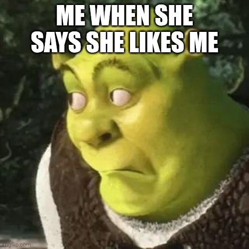 disbelief meme