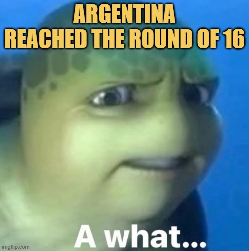 brazil fans be like meme