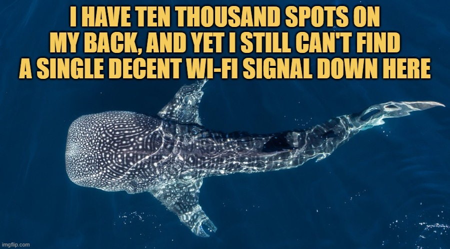 The existential crisis