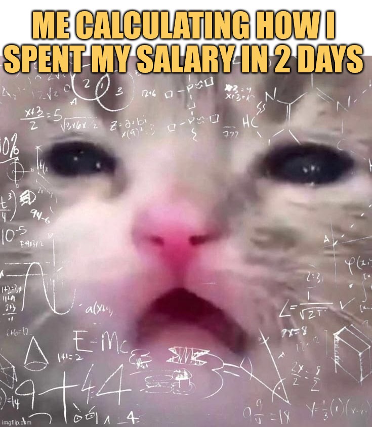 How did I do that I can't process it
