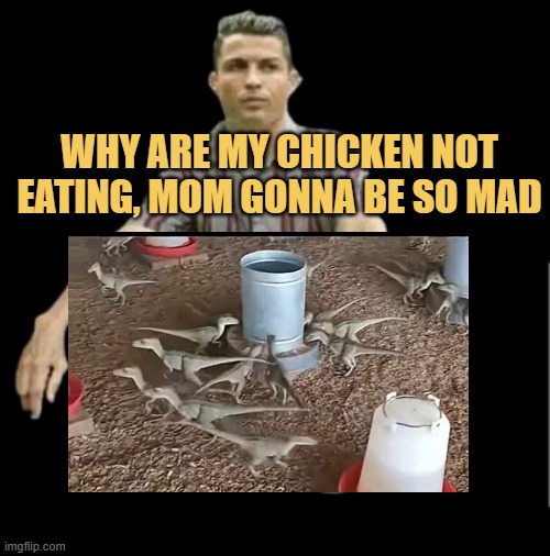 chicken ain't eating meme