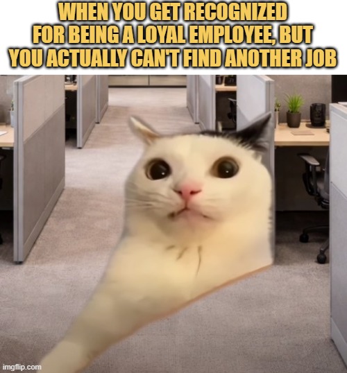 Don't tell my boss :)  meme