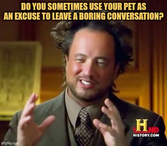 meme Do you use your pet.....