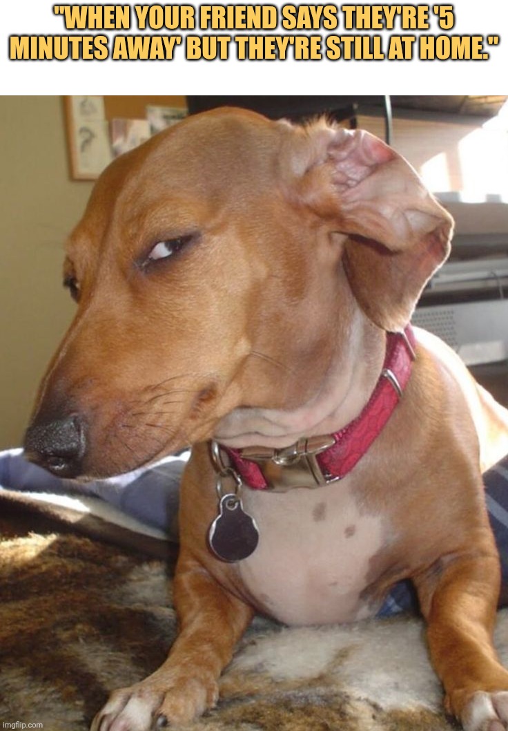 I don't trust you brother you're still at home