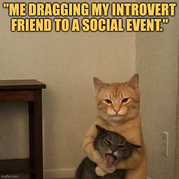 My friend is shy