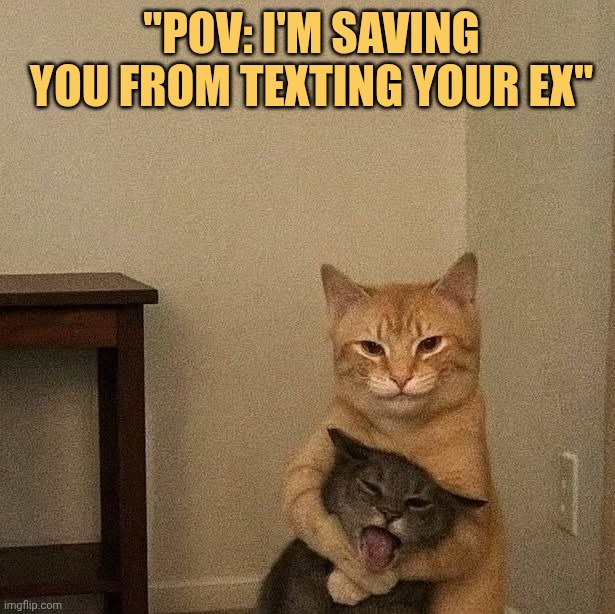 i love you friend so i'm saving him meme