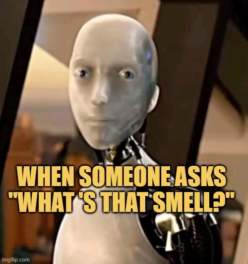 I didn't fart