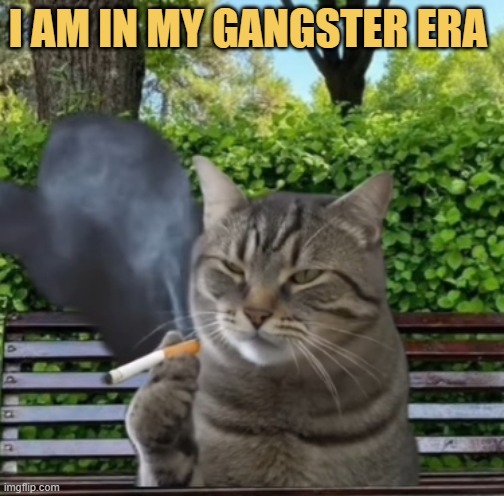 after she left me meme