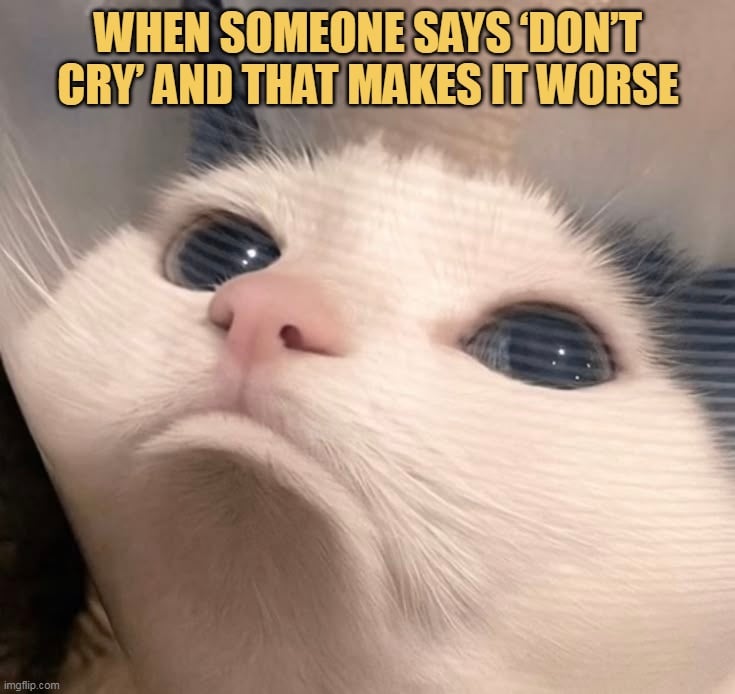 me in childhood meme