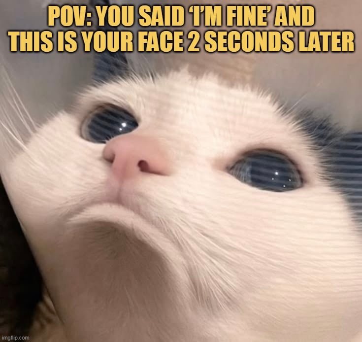 girls always do this meme