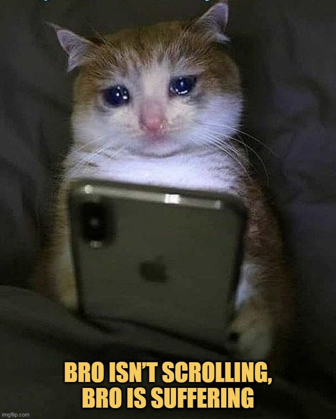 bro is sad! meme