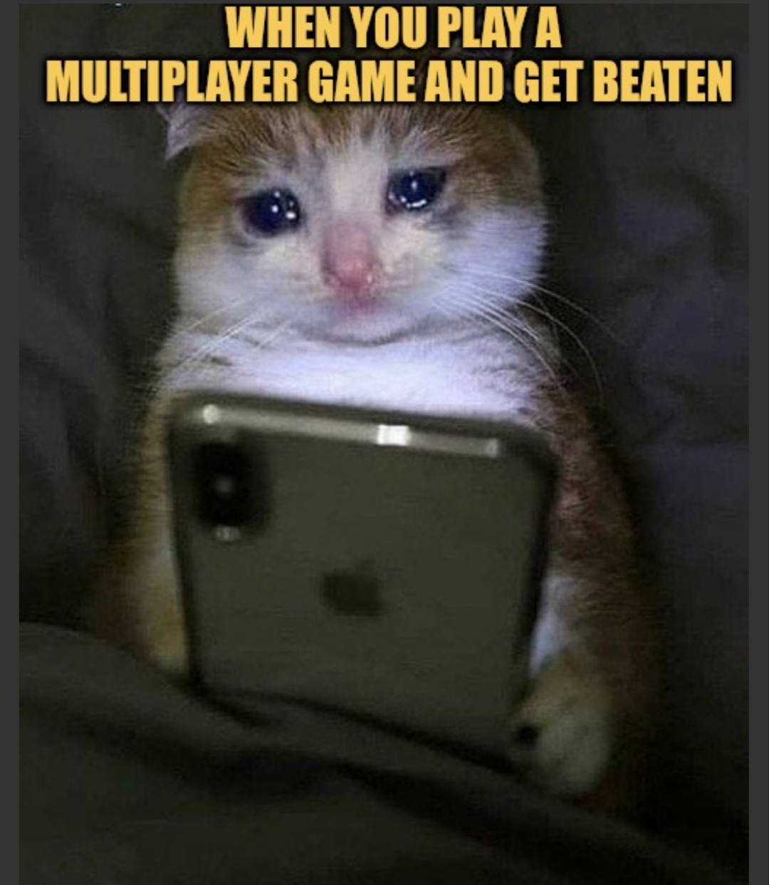 when you meet your match online meme