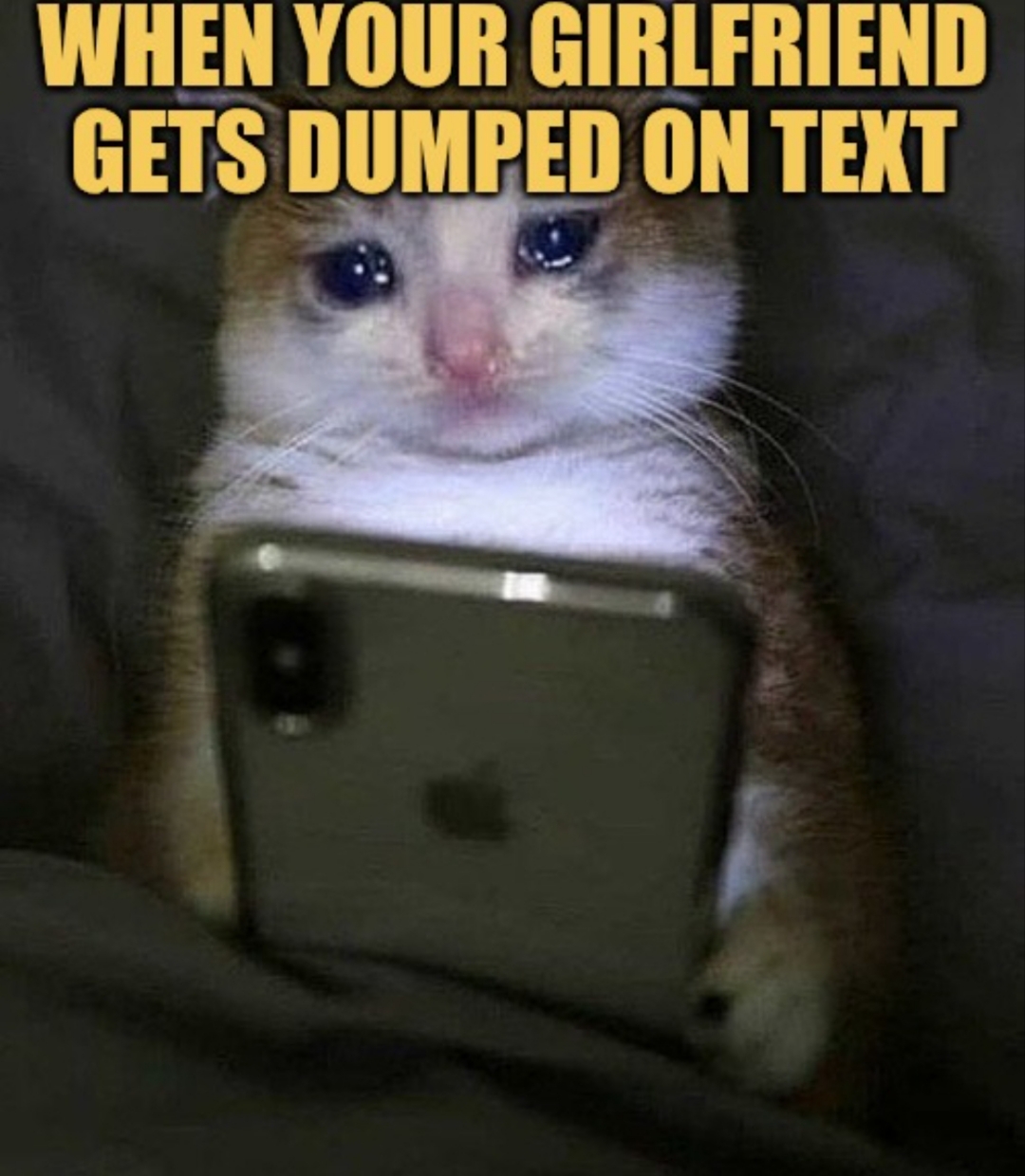 what that random gal does after every argument meme