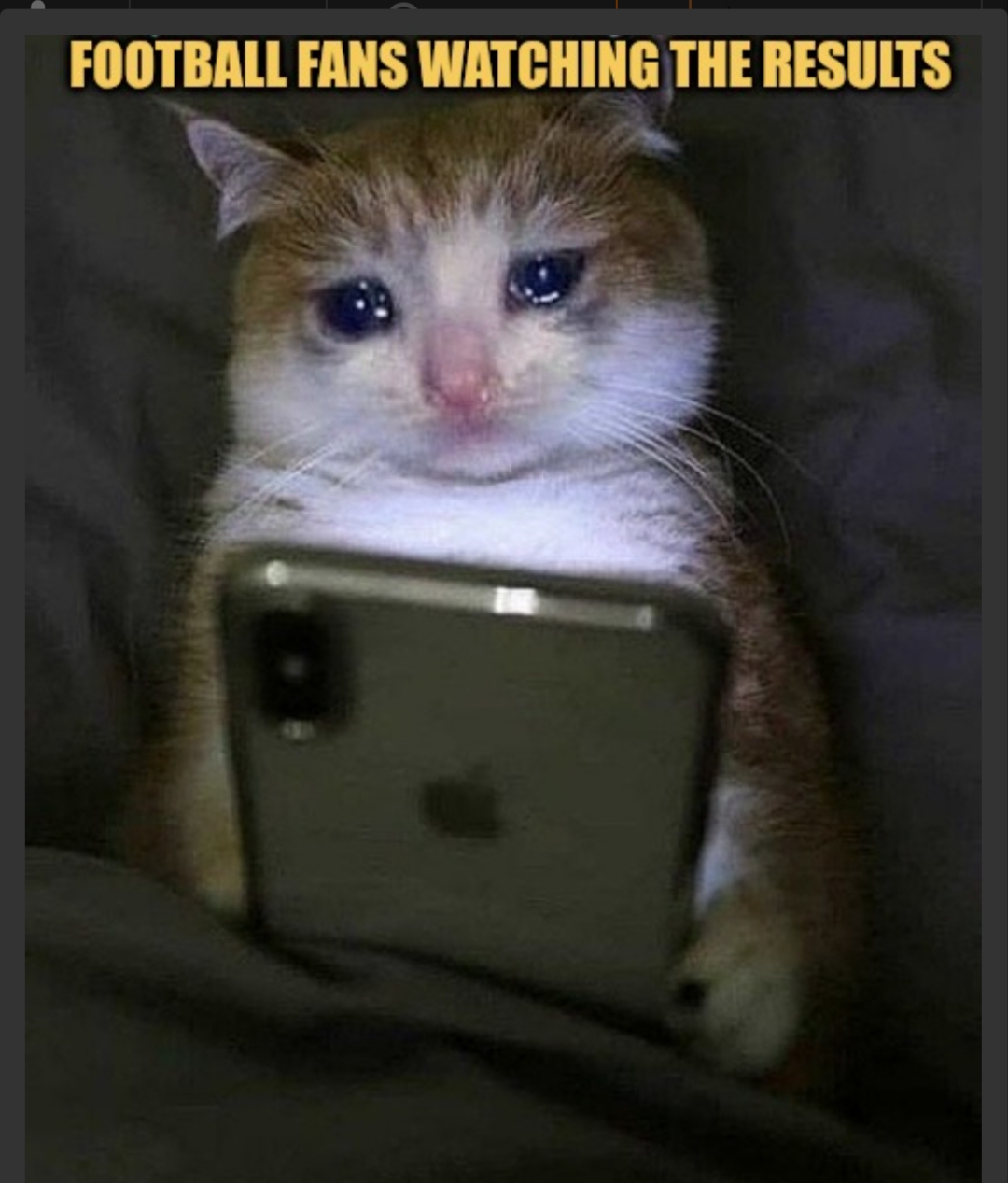 when your teams looses on world cup meme