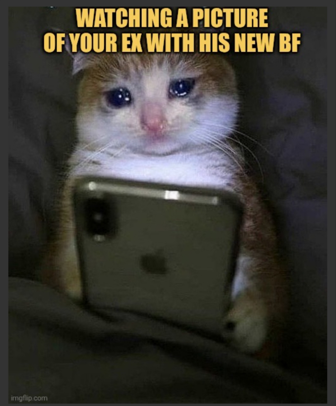 relationship struggle's meme