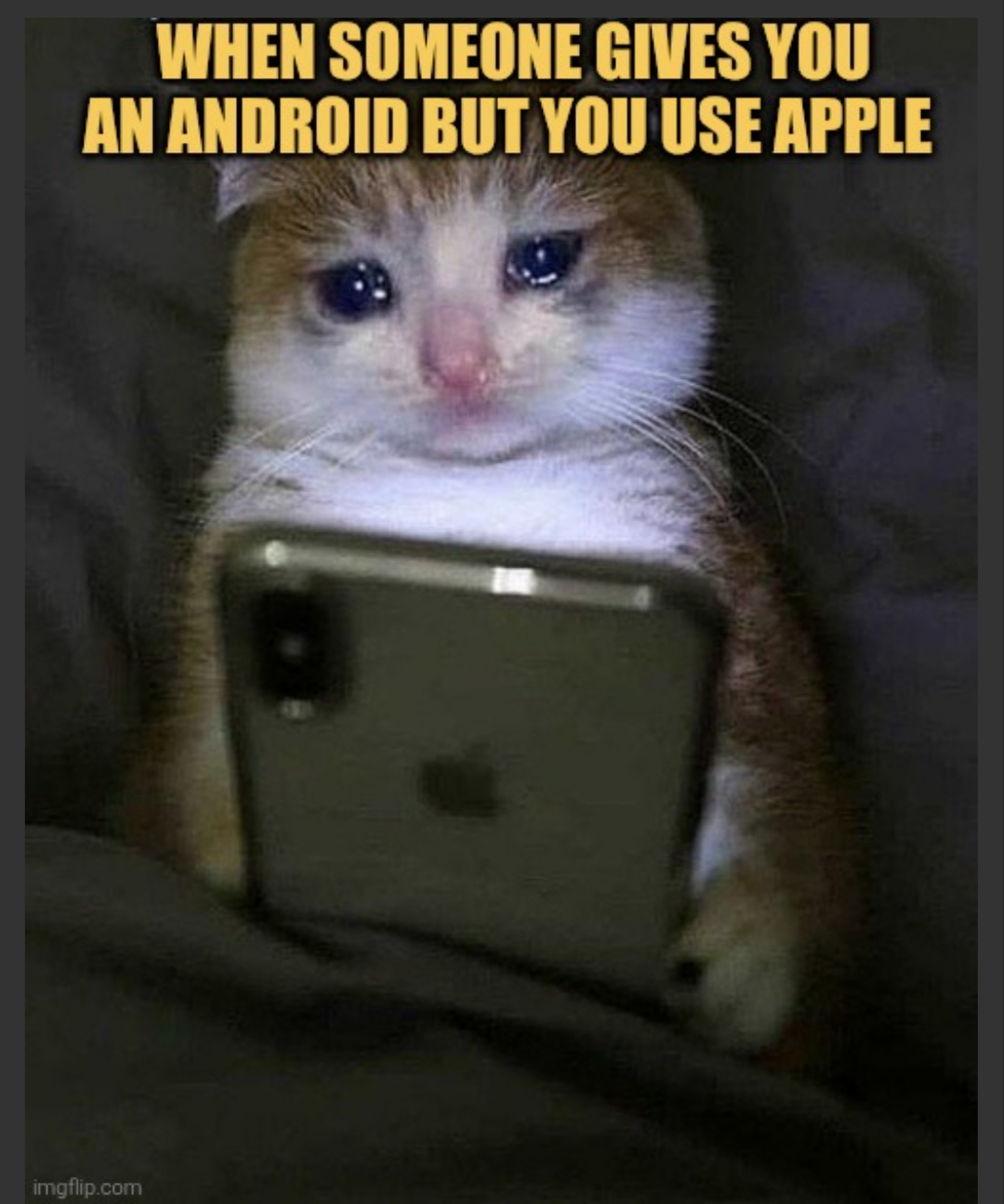 when you realize you can't use a different operating system meme