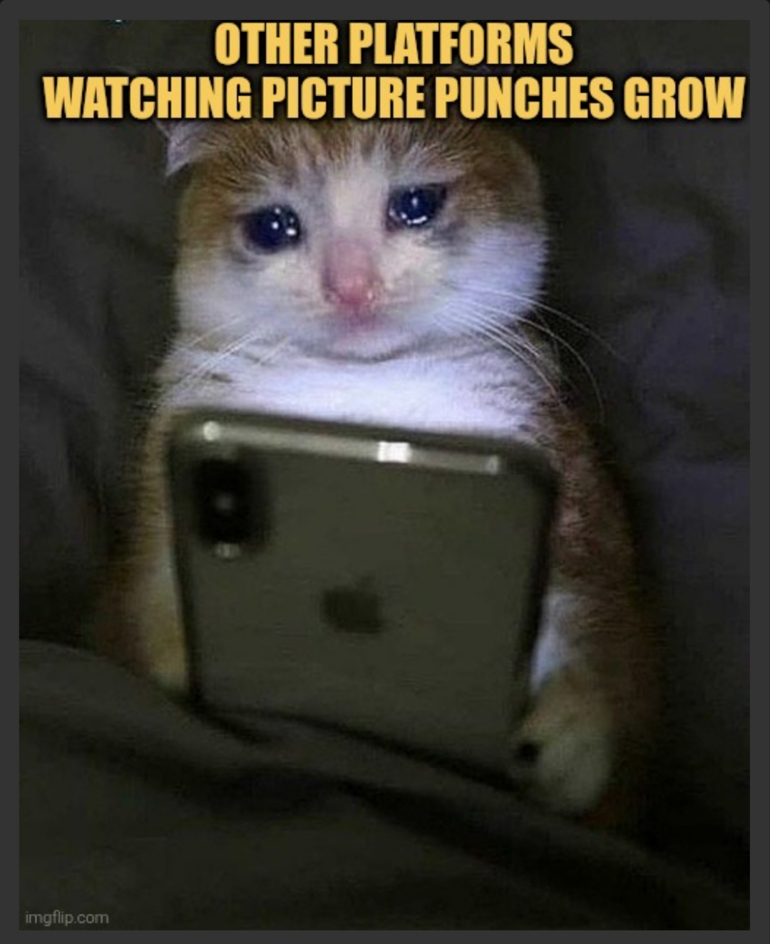 when other platforms hear we get paid for memes meme
