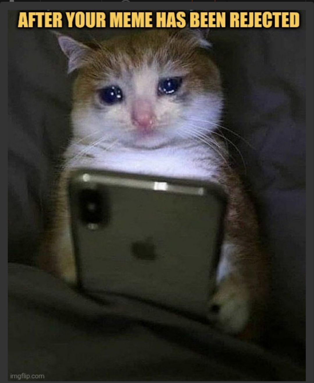 saddest day for a meme