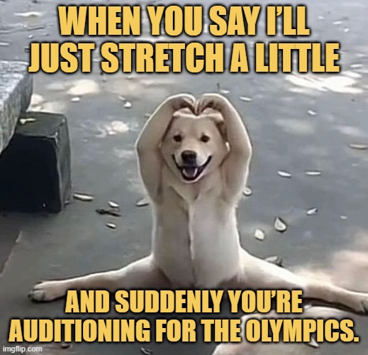 and suddenly you’re auditioning for the Olympics..jfif meme