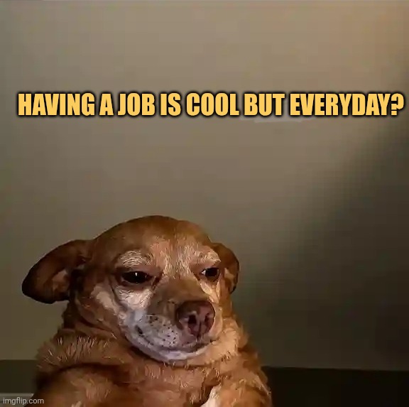 not cool at all meme