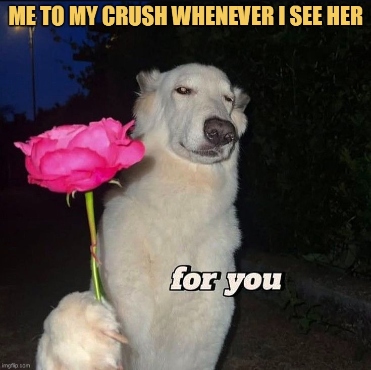 i wanna give you meme