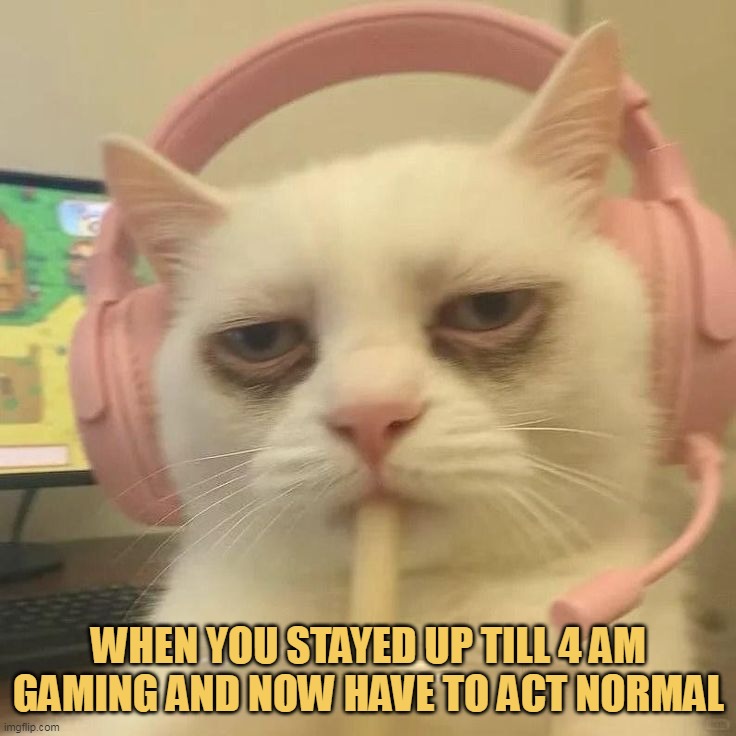 but i am not! meme