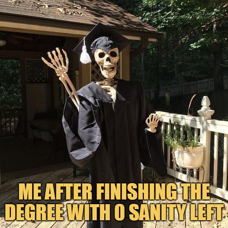 with 0 sanity bro