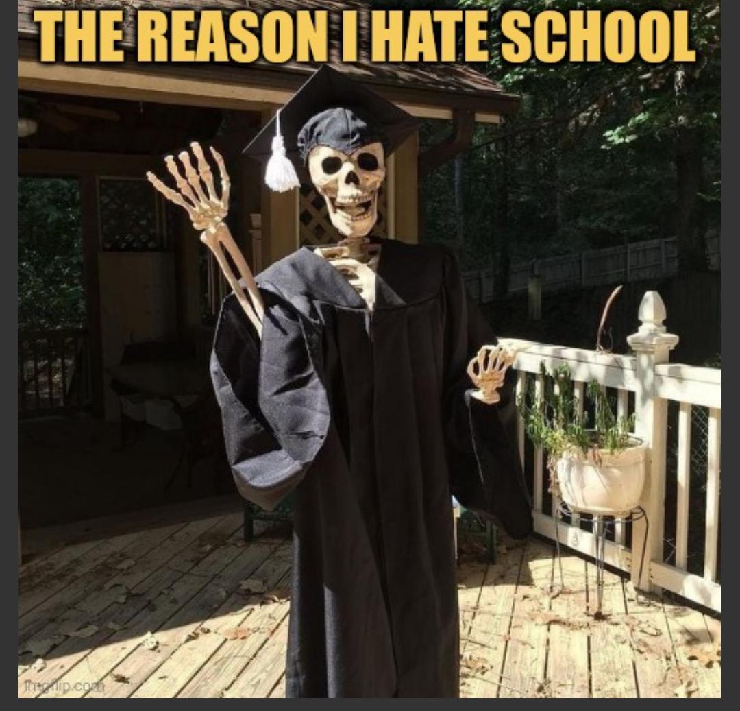 they always come out old meme