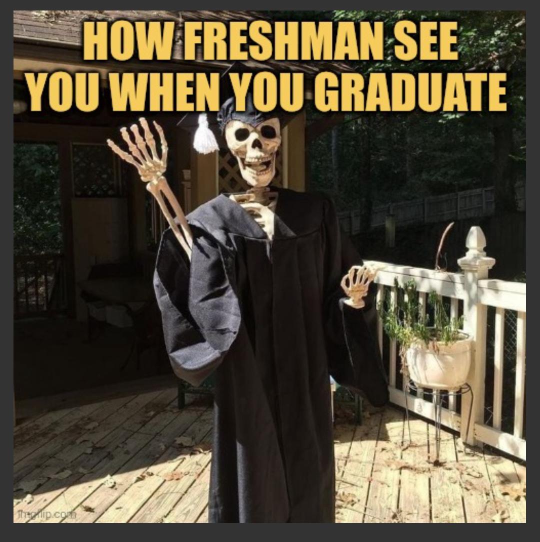 how first year student see you meme