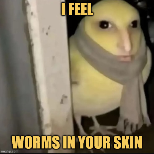bird senses meme