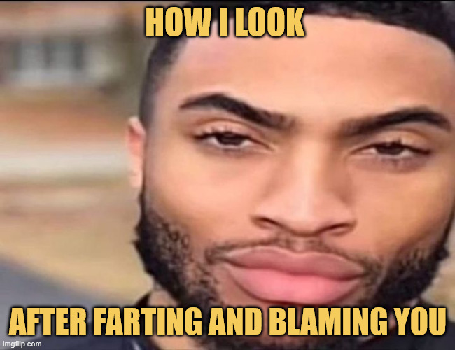 tbh what else can i do meme