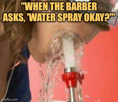 Barber said spray water but they bathed us