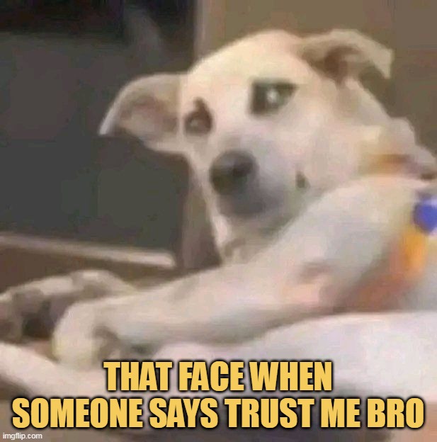 I cant trust you bro