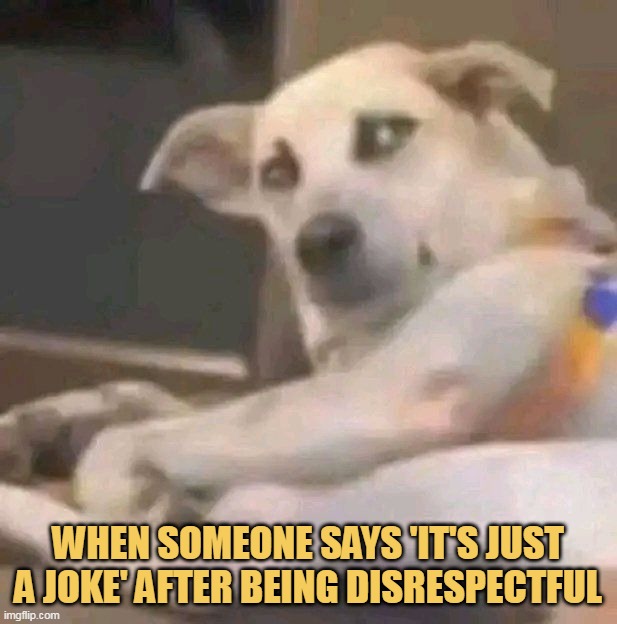 and i hate this joke meme