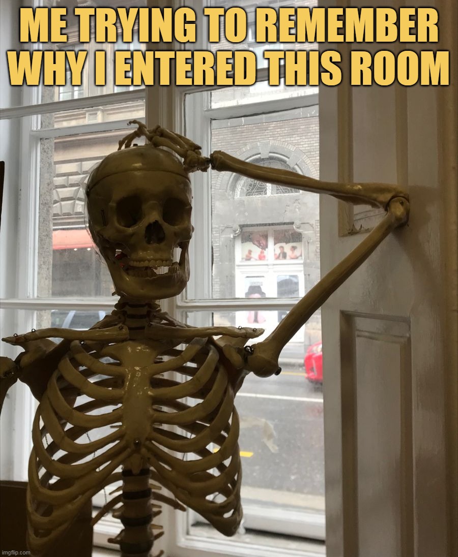 why i am here? meme