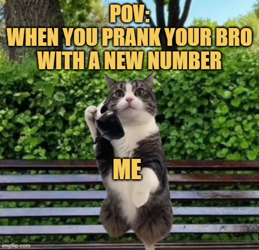 Just got a new number